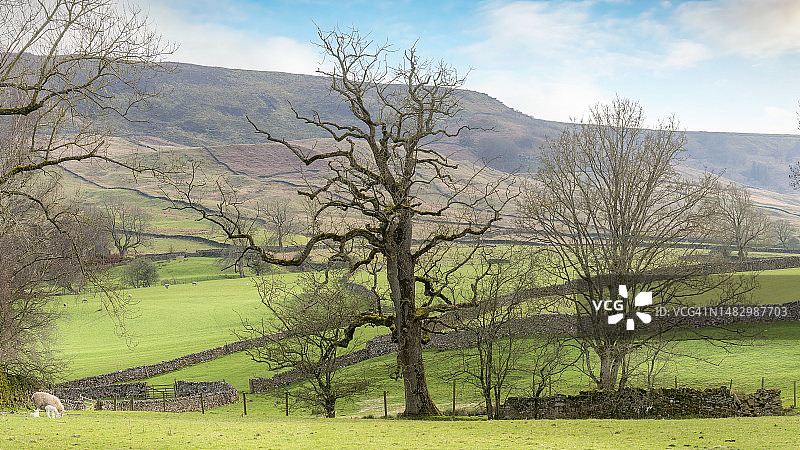 英格兰约克郡谷地国家公园图片素材