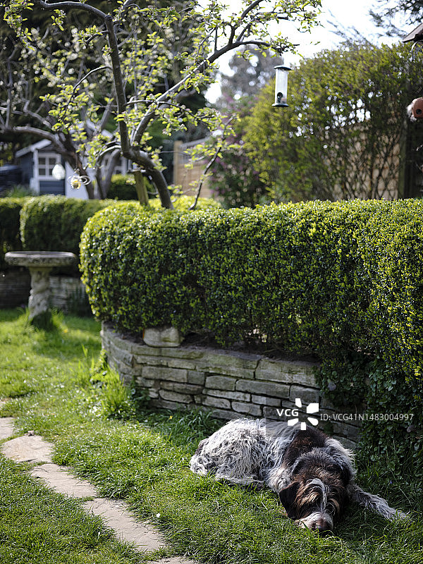 又一个春天图片素材