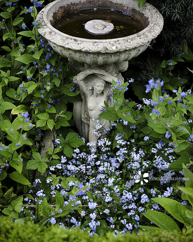 又一个春天图片素材