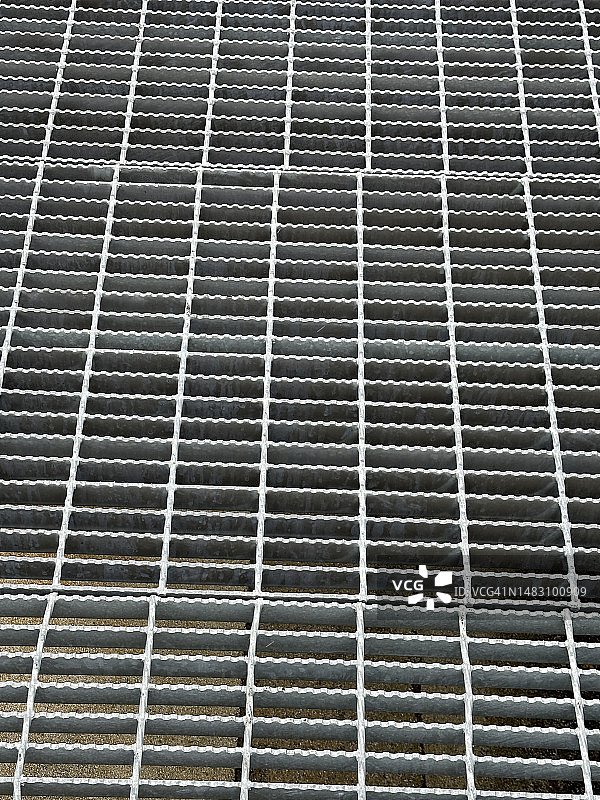 猫在洪水中行走图片素材