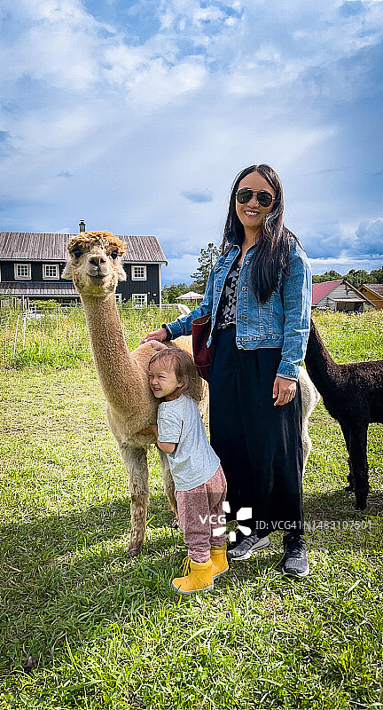 母子与美洲驼，摄于挪威图片素材
