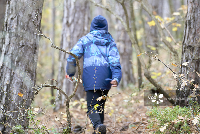 男孩身穿蓝色夹克走在长满大树和稀疏树叶的森林里图片素材
