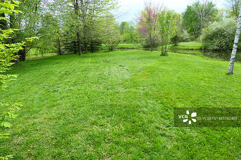 绿色草坪和各种树木图片素材