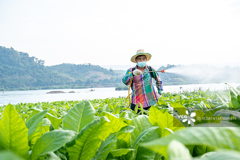 农民喷洒农药图片素材