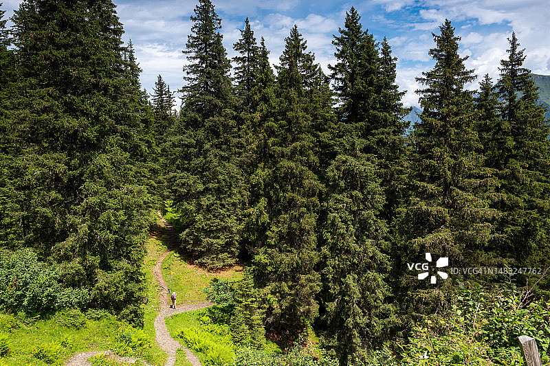 瑞士旅行：女子在岔路口阅读指示牌图片素材