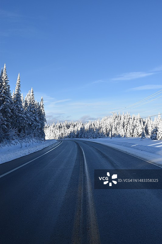 加拿大蓝天下树木间的空旷道路图片素材