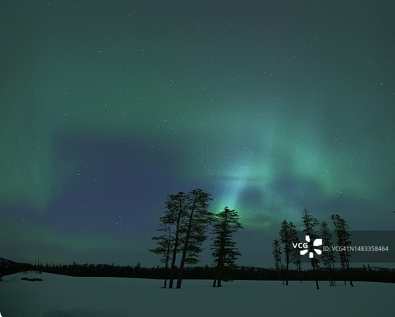 加拿大育空地区白马市附近的北极光和星空图片素材