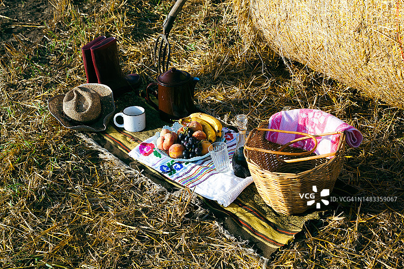 田野中的野餐场景俯视视角照片图片素材