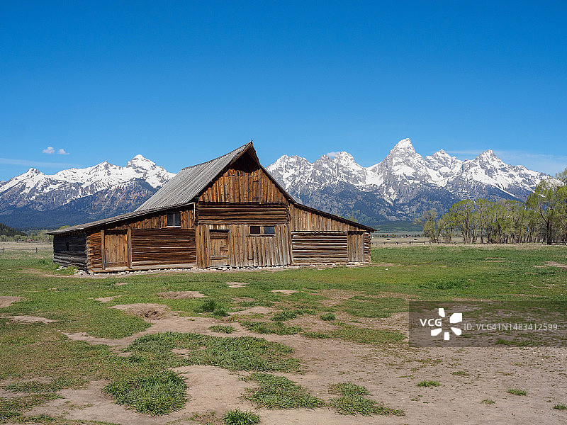 大提顿国家公园的T. A. Moulton谷仓图片素材