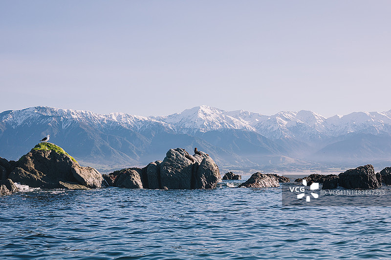 凯库拉，新西兰图片素材