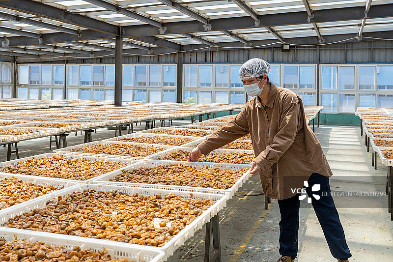 在蜜饯加工厂工作的亚洲女工图片素材
