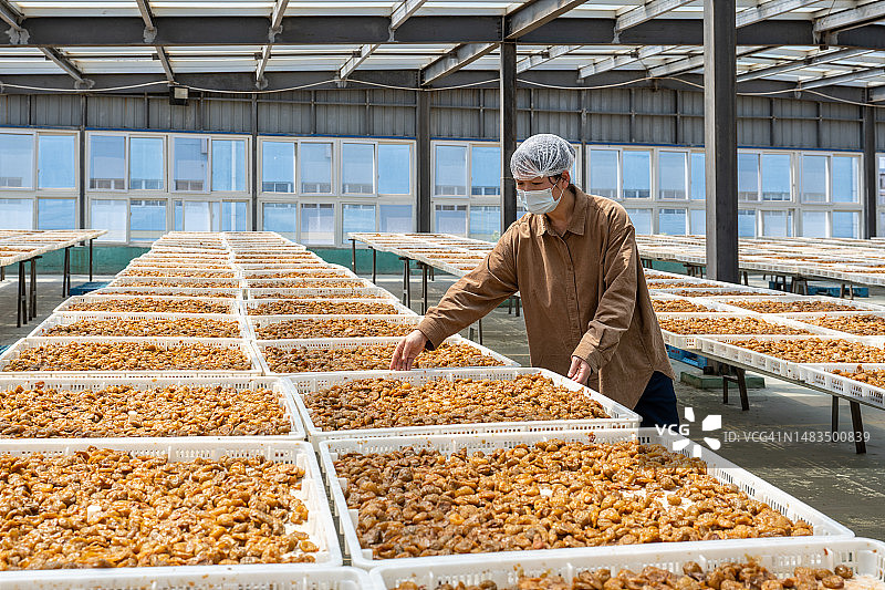 在蜜饯加工厂工作的亚洲女工图片素材