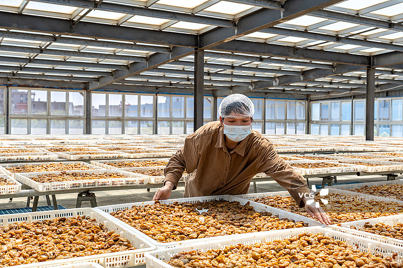 一名女工在蜜饯加工厂的阳光房里工作图片素材