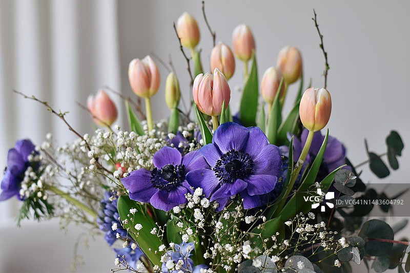 花瓶中的花朵特写，纳赫勒，荷兰图片素材