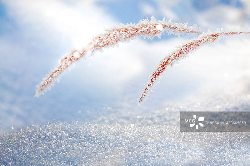 冬季冰冻草地抽象背景（罗马尼亚图尔达）图片素材