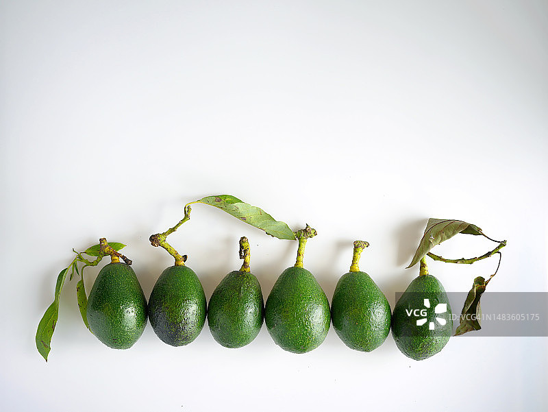 白色背景下的六个鳄梨特写，罗马尼亚图尔达图片素材
