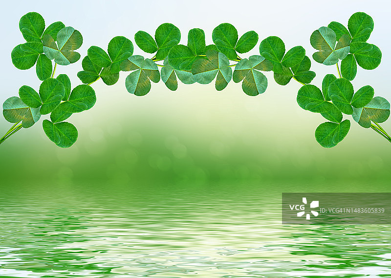 罗马尼亚图尔达的植物特写，湖泊背景图片素材