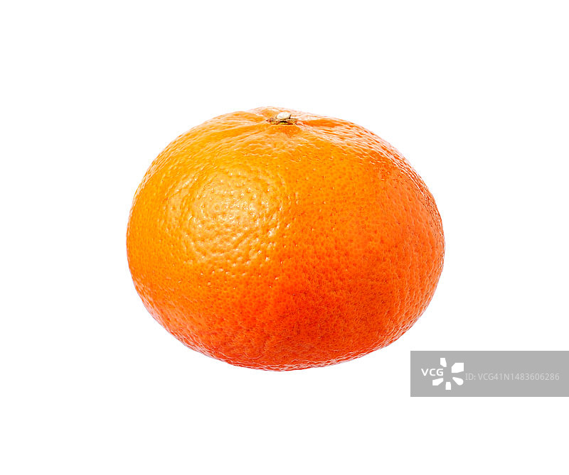 白色背景下的橙子特写图片素材