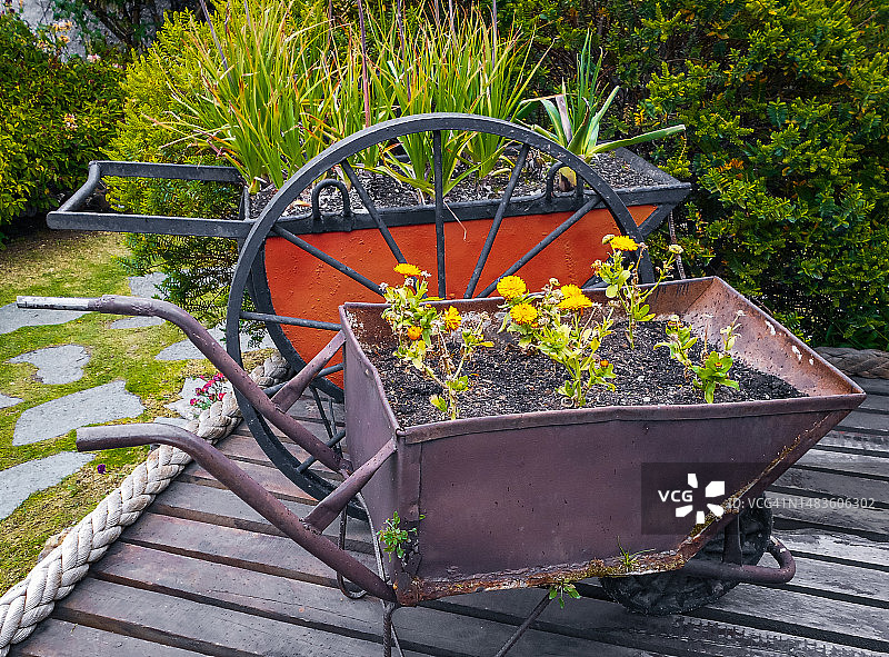 旧手推车花盆图片素材