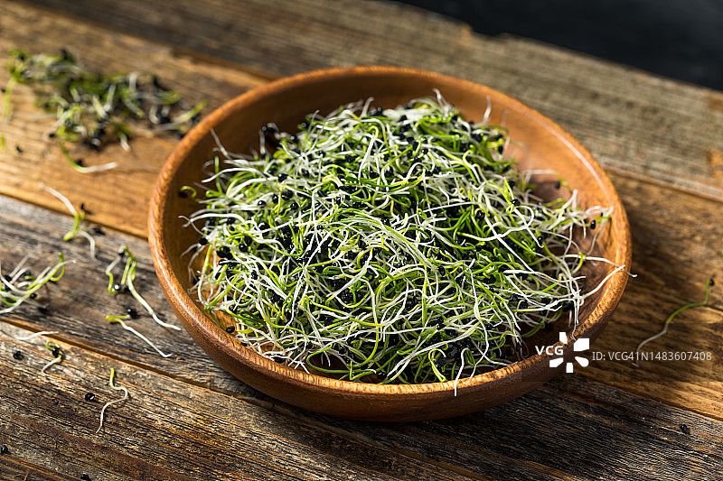 美国产新鲜绿色有机洋葱苗图片素材