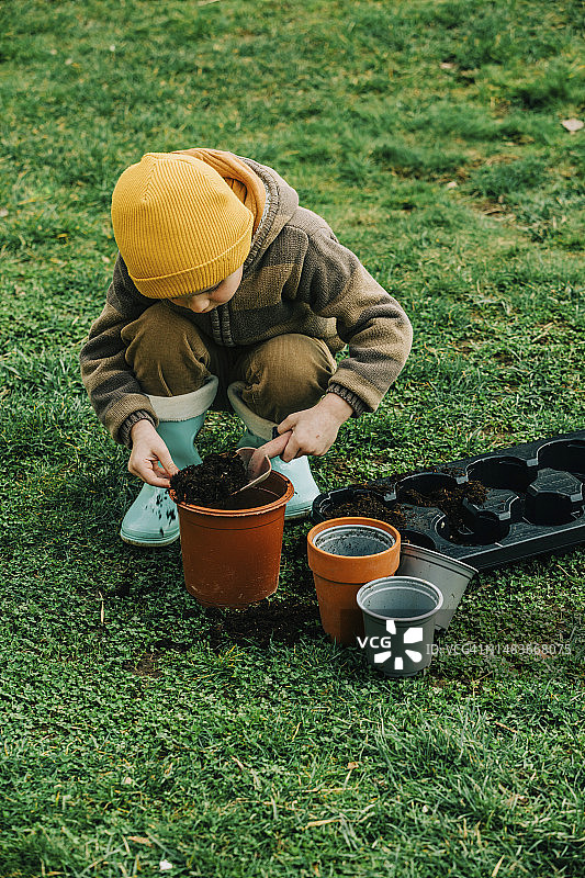 男孩在花园里蹲着，在花盆里种植小胡瓜种子图片素材