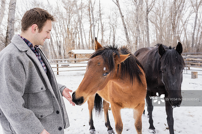 冬天里喂马的年轻男人图片素材