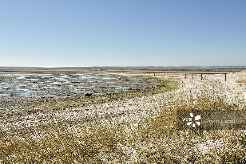 德国石勒苏益格-荷尔斯泰因州福尔岛瓦登海海岸图片素材