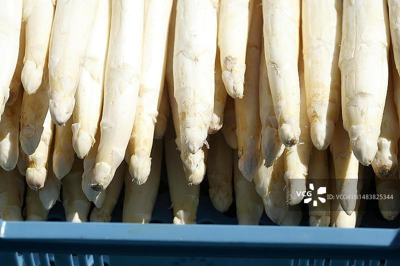 德国市场摊位上的新鲜芦笋图片素材