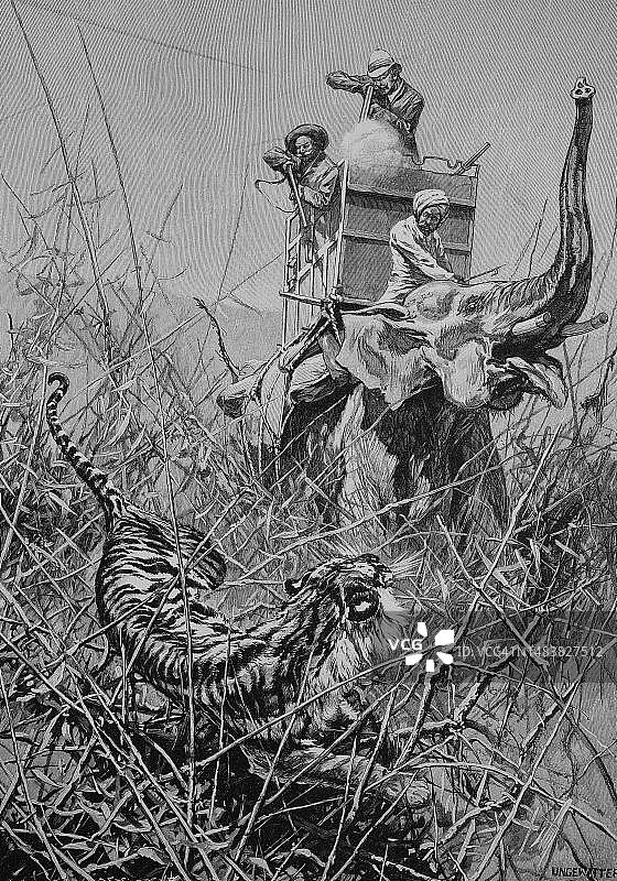 印度大象猎虎，19世纪原作数字复制品图片素材