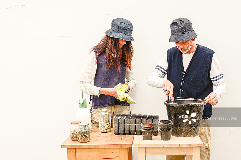 园艺：两位俱乐部成员移植秧苗图片素材