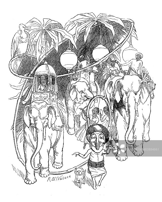 英国讽刺漫画图片素材