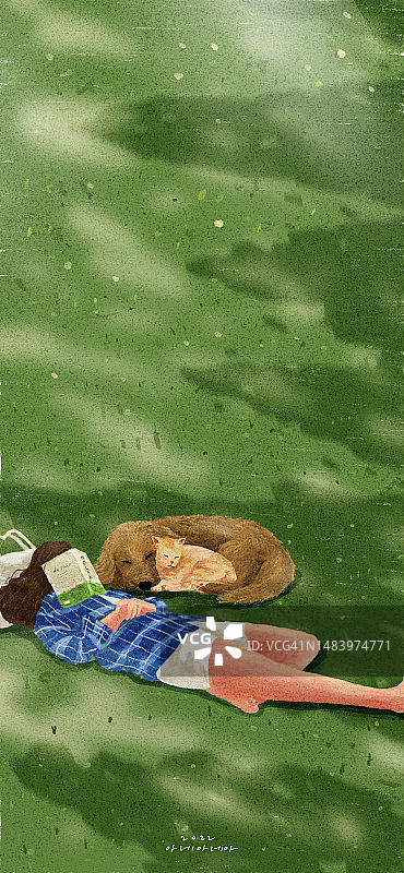 草地、风景、小憩、午睡、狗、猫、日常、旅行图片素材