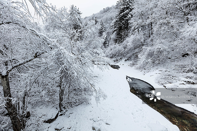 月精寺图片素材