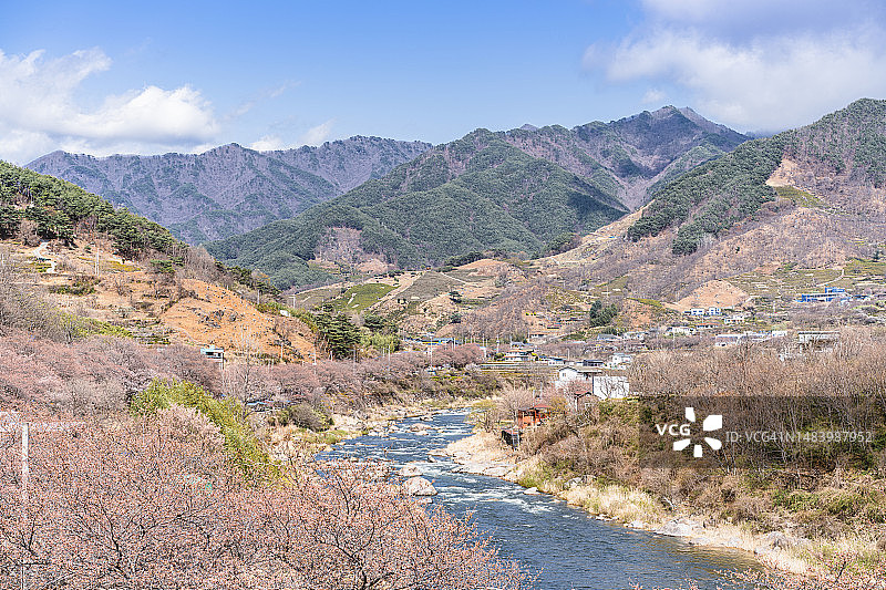 河东花开川谷的春天图片素材