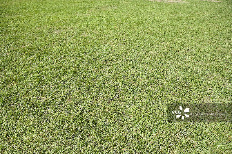 照片，图像，对象，背景图片素材