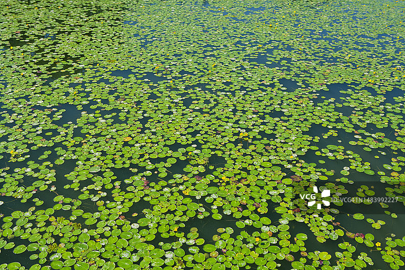 照片，图像，对象，背景图片素材