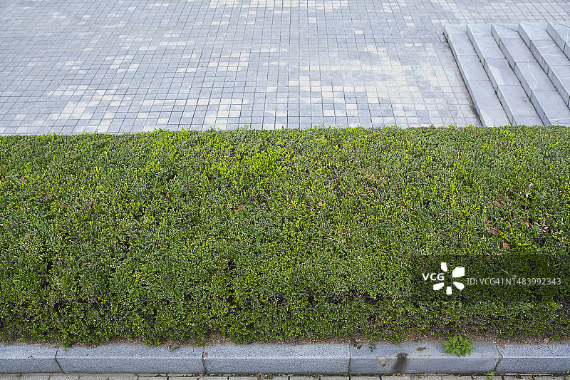 照片，图像，对象，背景图片素材