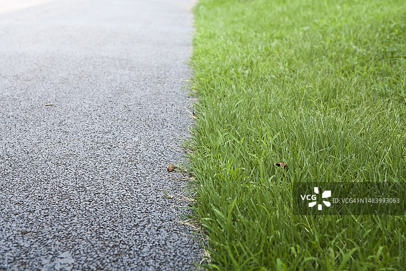 照片，图像，对象，背景图片素材