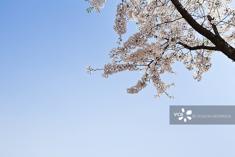 照片，图像，对象，背景图片素材