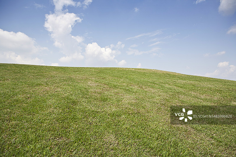 照片，图像，对象，背景图片素材