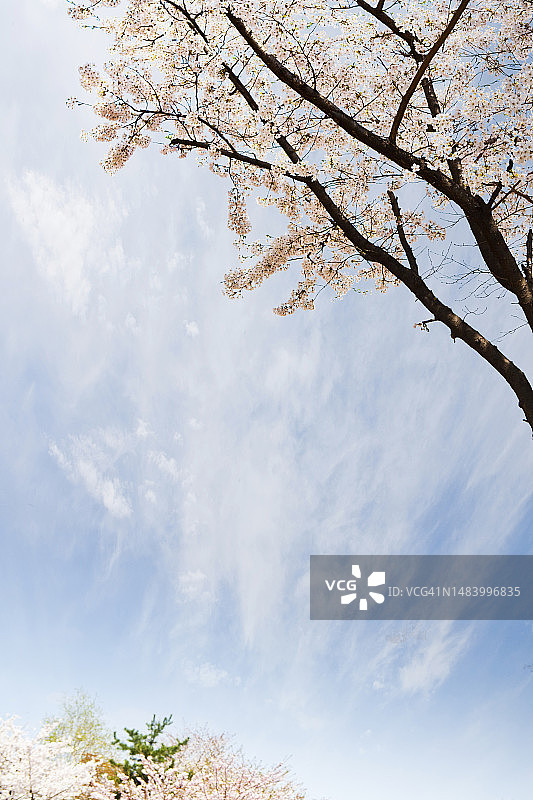 照片，图像，对象，背景图片素材