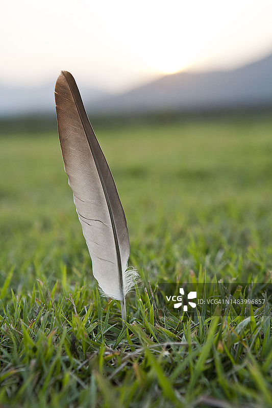 照片，图像，对象，背景图片素材