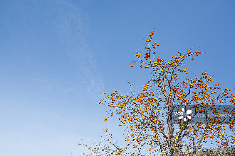 照片，图像，对象，背景图片素材