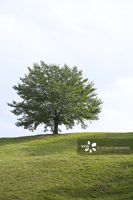 照片，图像，对象，背景图片素材