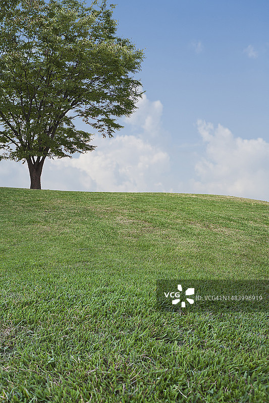 照片，图像，对象，背景图片素材