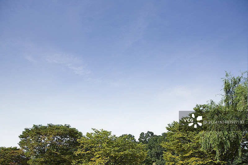 照片，图像，对象，背景图片素材