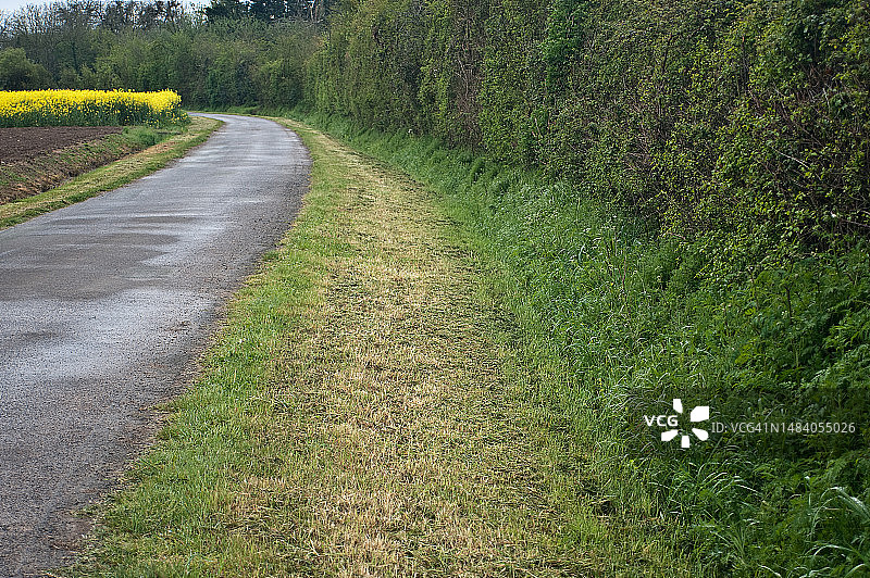 法国乡村修剪过的路边图片素材
