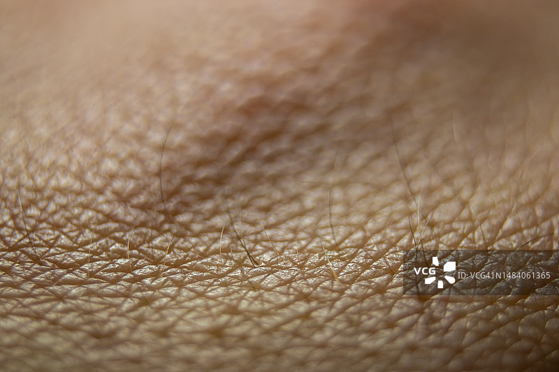 健康人皮肤的微距照片。皮肤病学图案概念。人皮肤特写背景。白种人皮肤。抽象皮炎表面。图片素材