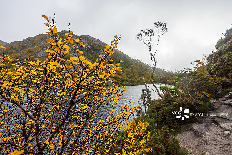 火山口湖摇篮山秋景图片素材