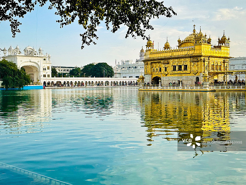 前景为著名枣树的金庙景色图片素材